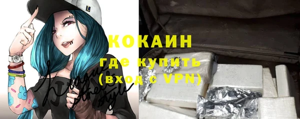 хмурый Абаза