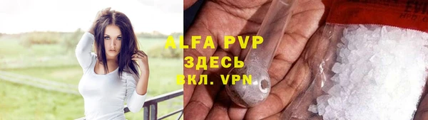 хмурый Абаза