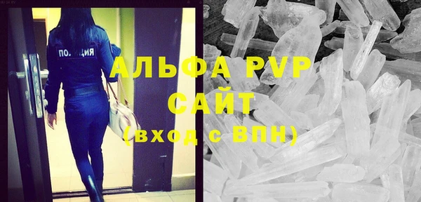 хмурый Абаза