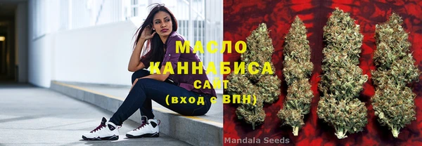 сатива Дмитриев